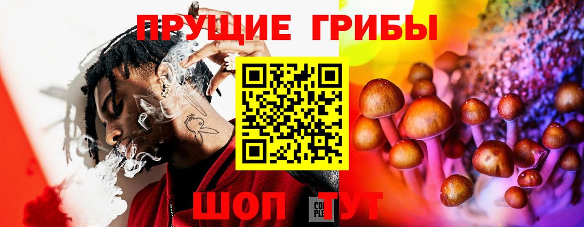 Галлюциногенные грибы Psilocybe Урай