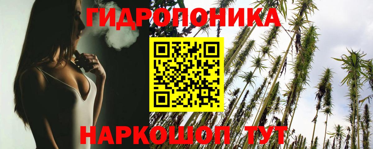 Конопля планчик  Каннабис сатива  Урай  Вход с VPN  Марихуана план 